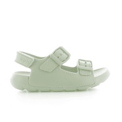 S10313 Maui Menta