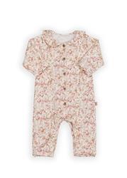 1019-342 Tutina autumn forest