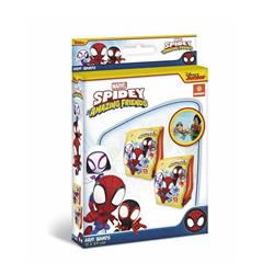 Braccioli Spidey 15x23